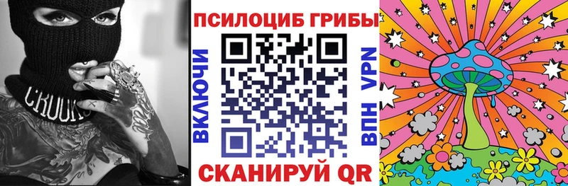 Псилоцибиновые грибы Cubensis  Купить где  Озёры 